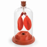 Lung Demonstration Model